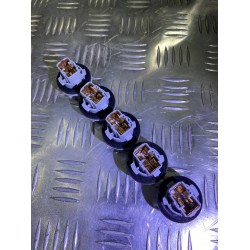 Патрон (цоколь) Nissan Rogue X-TRAIL Нисан Рог 262439B91A
